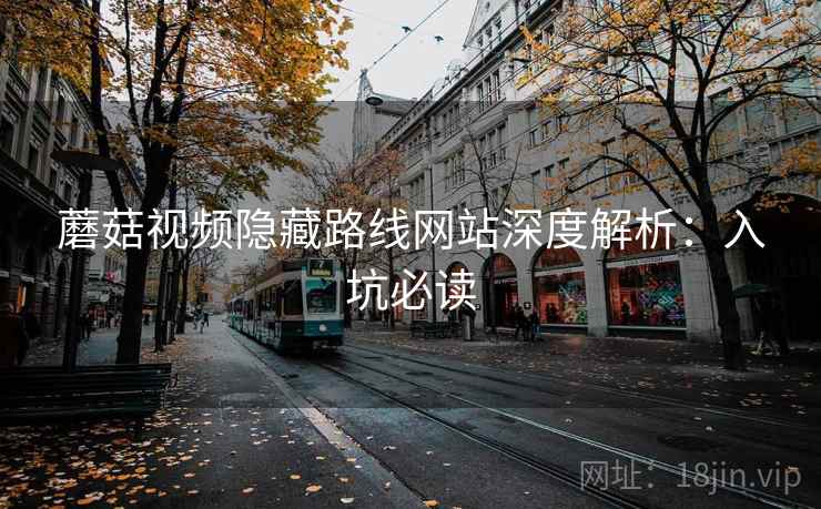 蘑菇视频隐藏路线网站深度解析：入坑必读  第1张