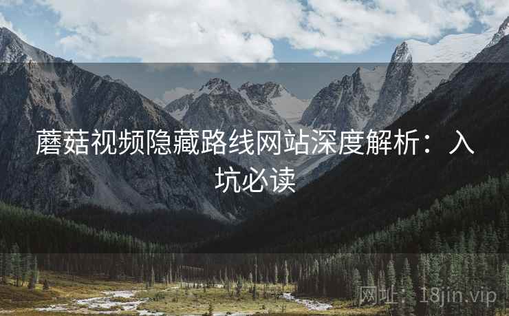 蘑菇视频隐藏路线网站深度解析：入坑必读  第2张
