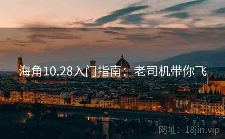 海角10.28入门指南：老司机带你飞