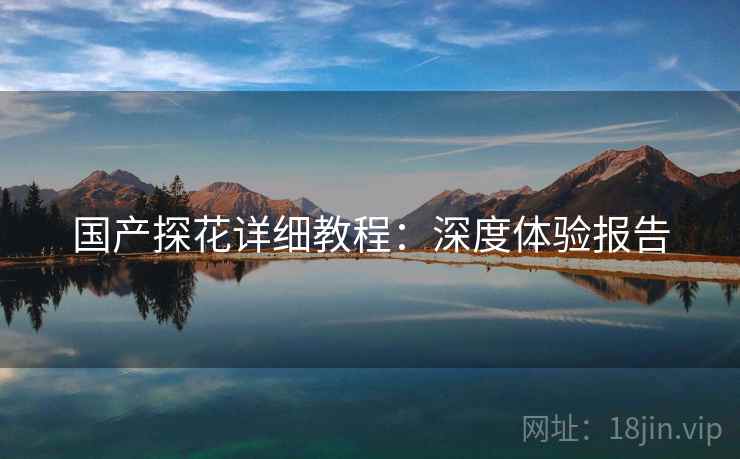 国产探花详细教程：深度体验报告  第2张