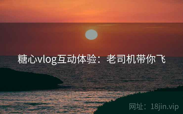 糖心vlog互动体验：老司机带你飞  第2张