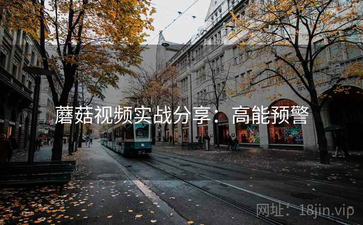 蘑菇视频实战分享：高能预警