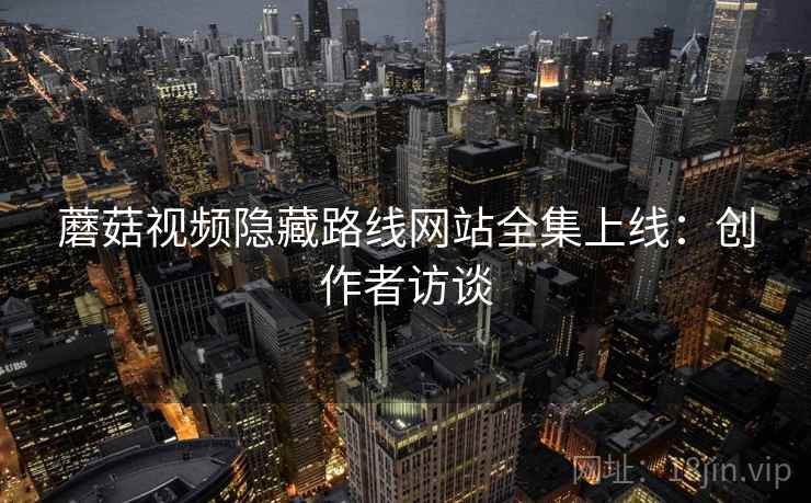 蘑菇视频隐藏路线网站全集上线：创作者访谈  第2张