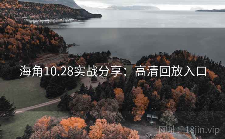 海角10.28实战分享：高清回放入口