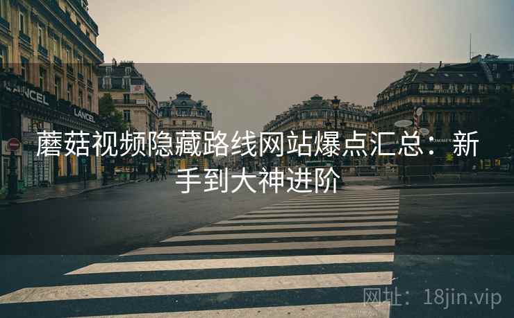 蘑菇视频隐藏路线网站爆点汇总：新手到大神进阶