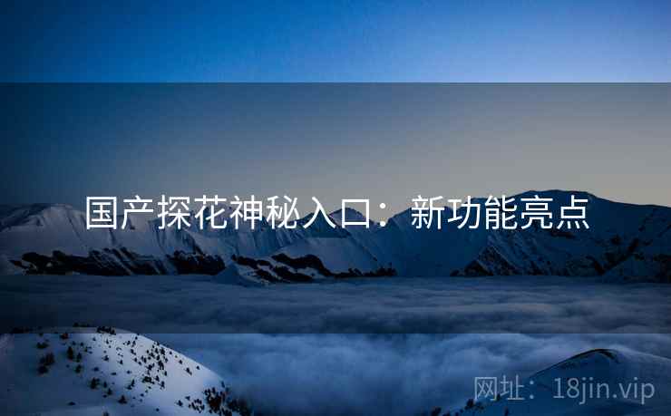 国产探花神秘入口：新功能亮点